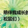 陪伴我成长的小松鼠们成就（陪伴我成长的小松鼠们）
