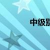 中级别车排行（中级车排名）