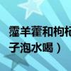 霪羊藿和枸杞子泡水喝怎么样（霪羊藿和枸杞子泡水喝）