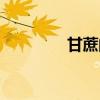 甘蔗的功效与作用（甘土）