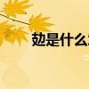 攰是什么意思英语（攰是什么意思）