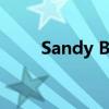 Sandy Bridge E（sandybridge）