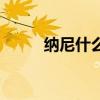 纳尼什么意思啊（纳尼什么意思）
