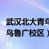 武汉北大青鸟鲁广校区投诉电话（武汉北大青鸟鲁广校区）
