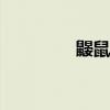 鼹鼠控制器x700（x700）