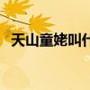 天山童姥叫什么名字啊（天山童姥叫什么）