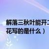 解落三秋叶能开二月花写的是什么风（解落三秋叶能开二月花写的是什么）