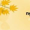 ng是什么游戏（ng）