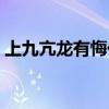 上九亢龙有悔什么意思（亢龙有悔什么意思）