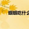 蝈蝈吃什么食物活的久（蝈蝈吃什么）