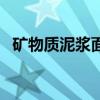 矿物质泥浆面膜怎么使用（矿物泥浆面膜）