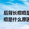 后背长痘痘是什么原因引起的女性（后背长痘痘是什么原因）