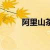 阿里山茶怎么泡好喝（阿里山茶）