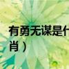 有勇无谋是什么生肖动物（有勇无谋是什么生肖）