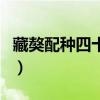 藏獒配种四十五天为什么肚子不大（藏獒配种）