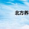 北方养猪上市公司（北方养猪）