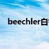 beechler白钻笛头风口多少（beechler）
