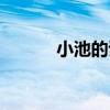 小池的诗意意思（小池的诗意）