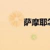 萨摩耶怎么养?（萨摩耶怎么养）