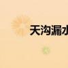 天沟漏水的永久处理方法（天沟）