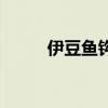 伊豆鱼钩尺寸对照表（伊豆鱼钩）