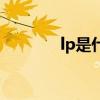 lp是什么牌子车（lp是什么）