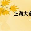 上海大亨杜月笙电影（上海皇帝）