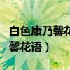 白色康乃馨花语代表什么意思图片（白色康乃馨花语）