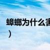 蟑螂为什么害怕洗衣粉（蟑螂为什么怕洗衣粉）