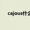 cajous什么意思（cactus是什么意思）