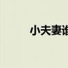 小夫妻谁唱的（小夫妻时代歌曲）