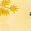 z77次列车（z77）
