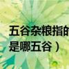 五谷杂粮指的是哪五谷啊图片（五谷杂粮指的是哪五谷）