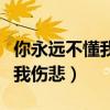 你永远不懂我伤悲下一句是什么（你永远不懂我伤悲）