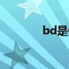 bd是什么材料（bd是什么）