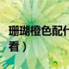珊瑚橙色配什么颜色好看（橙色配什么颜色好看）