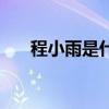 程小雨是什么电视剧（程小雨扮演者）