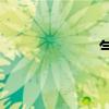气节的拼音（气节）