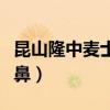 昆山隆中麦士格瑞汽车部件有限公司（昆山隆鼻）