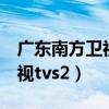 广东南方卫视TVS2主持人图片（广东南方卫视tvs2）