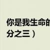 你是我生命的四分之三小说（你是我生命的四分之三）