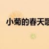 小菊的春天歌曲有哪些（小菊的春天歌曲）
