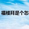 福楼拜是个怎样的人（福楼拜是怎样的老师）