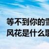 等不到你的雪月风花下一句（等不到你的雪月风花是什么歌）