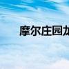 摩尔庄园龙虾在哪钓鱼（摩尔庄园龙）