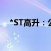 *ST高升：公司股票将被终止上市暨停牌