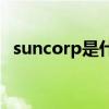 suncorp是什么手机（sunup是什么手机）