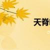 天脊吧最新消息（天脊吧）