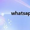 whatsapp账号购买链接（买链接）