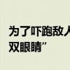 为了吓跑敌人：这种愤怒的小鸟进化出“第二双眼睛”